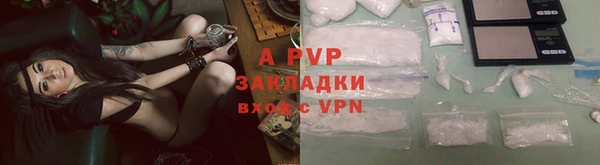 a pvp Аркадак